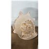 Image 3 : 10" HORNED HELMET CONCH SHELL