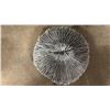 Image 2 : 6" MUSHROOM CORAL