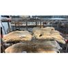 Image 1 : (2) SMALL SHEEPSKIN RUGS