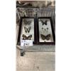 Image 1 : (2) FRAMED BUTTERFLY COLLECTIONS