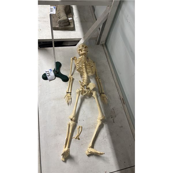 SMALL SKELETON MODEL WITH STAND *NEED SOME REPAIR*