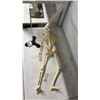 Image 1 : SMALL SKELETON MODEL WITH STAND *NEED SOME REPAIR*