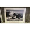 Image 1 : FRAMED PHOTOGRAPH PRINT 46.5" X 35.5"