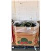 Image 1 : PALLET OF ASSORTED GARDEN HOSES