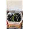 Image 2 : PALLET OF ASSORTED GARDEN HOSES