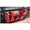 Image 1 : SHELF OF ASSORTED PLASTIC JERRY CANS