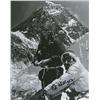 Image 1 : Edmund Hillary