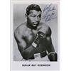 Image 1 : Sugar Ray Robinson
