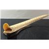 Image 3 : Hand-Carved Crocodile Bone or Antler Figure