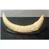 Image 4 : Hand-Carved Crocodile Bone or Antler Figure