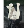 Image 5 : Leonardo Country Life Border Collie Figurine