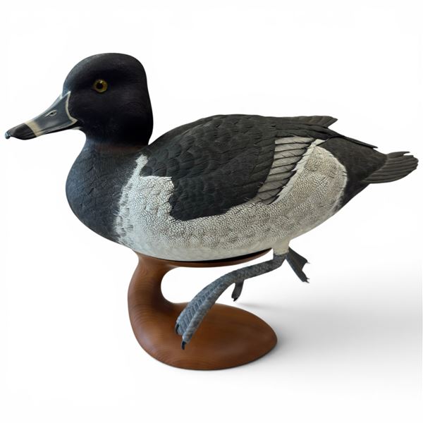 1996 Rusty Rutherford "Male Ring Neck Duck" Hand Carved & Painted Decorative Decoy