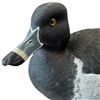Image 3 : 1996 Rusty Rutherford "Male Ring Neck Duck" Hand Carved & Painted Decorative Decoy