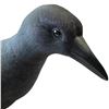 Image 2 : 2002 Rusty Rutherford "Crow" Hand Carved & Painted Sculpture