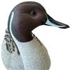 Image 2 : 1996 Rusty Rutherford "Northern Pintail Duck" Hand Carved & Painted Decorative Decoy