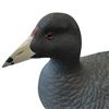 Image 2 : 1996 Rusty Rutherford "Coot Duck" Hand Carved & Painted Decorative Decoy - Signed by Artist