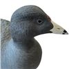 Image 3 : 1996 Rusty Rutherford "Coot Duck" Hand Carved & Painted Decorative Decoy - Signed by Artist