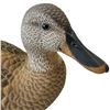 Image 3 : 1990 Rusty Rutherford "Blue Winged Teal" Hand Carved & Painted Decorative Decoy - Signed by Artist