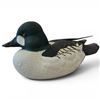 Image 1 : Rusty Rutherford "Goldeneye Drake" Hand Carved & Painted Decorative Decoy - Signed by Artist - Not D
