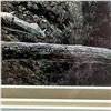 Image 4 : 1985 Rod Frederick "Winter's Call" Well Framed Print (Triple matted in a 25" x 42" frame)