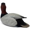 Image 4 : 1998 Rusty Rutherford "Canvasback Drake" Hand Carved & Painted Decorative Decoy - Signed by Artist