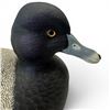 Image 5 : 2001 Rusty Rutherford "Lesser Scaup - Blue Bill" Hand Carved & Painted Decorative Decoy - Signed by 