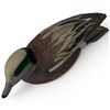 Image 5 : Rusty Rutherford "Widgeon Drake" Hand Carved & Painted Decorative Decoy - Signed by Artist
