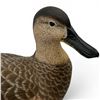 Image 2 : 2001 Rusty Rutherford "Blue Winged Teal Hen" Hand Carved & Painted Decorative Decoy - Signed by Arti