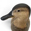Image 4 : 2001 Rusty Rutherford "Blue Winged Teal Hen" Hand Carved & Painted Decorative Decoy - Signed by Arti