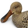 Image 3 : 1997 Rusty Rutherford "Shoveler Hen" Hand Carved & Painted Decorative Decoy - Signed by Artist