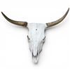 Image 1 : Genuine 27" Cow Skull Display