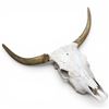 Image 2 : Genuine 27" Cow Skull Display