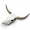 Image 3 : Genuine 27" Cow Skull Display