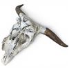 Image 4 : Genuine 27" Cow Skull Display