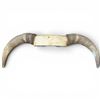 Image 1 : Genuine 27.5" Steer Horns Display