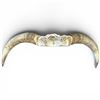 Image 3 : Genuine 27.5" Steer Horns Display