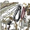 Image 6 : 35 Good Quality Necklaces  - Majority are Like-New - Variety of Materials -2 Sorting Container - App