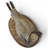 Image 4 : 1999 Rusty Rutherford "Greater Prairie Chicken" Hand Carved & Painted Bird