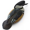 Image 5 : October 1997 Rusty Rutherford "Male Hooded Merganser" Hand Carved Duck Decoy