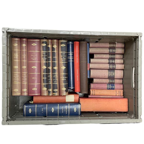 26 Early 20th Century Italian Books and Novels Written in the Italian Language