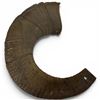 Image 1 : Natural Ram's Horn, Featuring Its Signature Curved Shape and Pronounced Growth Rings 13" Diameter