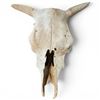Image 1 : Classic Steer or Cow Skull, Rustic Western Decorative Wall Hanging 15" Length