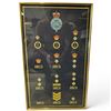 Image 1 : Framed Pre-1997 Hong Kong Correctional Services Rank Insignia with EIIR Colonial Cypher