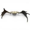Image 2 : Large Bull Moose 9 Point Antlers Euro Mount Style 23" Spread