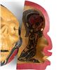 Image 8 : Dramatic Hand Carved "Life and Death" Transformation Mask by W. Bear - Pacific Northwest Style