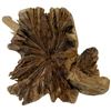 Image 3 : Clever Elephant Sculpture Carved From Burl Wood Root - 4" x 6" x 3" tall at the tusk - Stand include