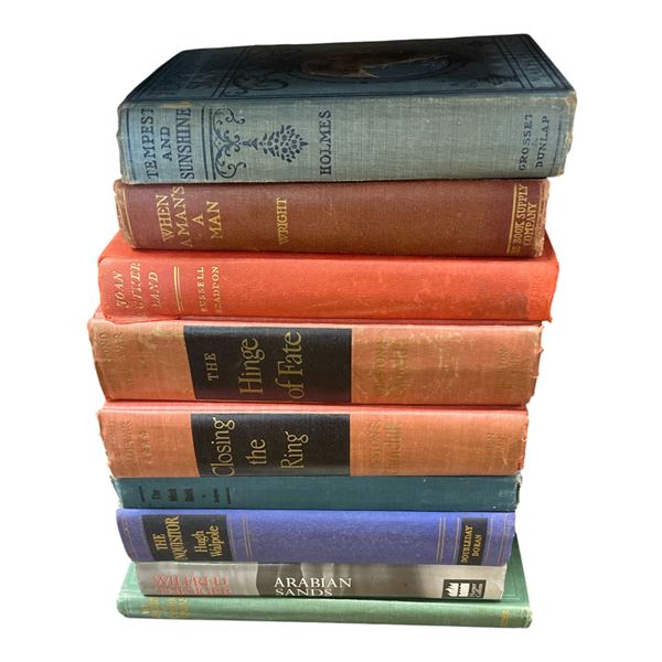 9 Vintage Books  * Featuring a 1st Edition "Tempest and Sunshine" by Mary J. Holmes  - (Majority of
