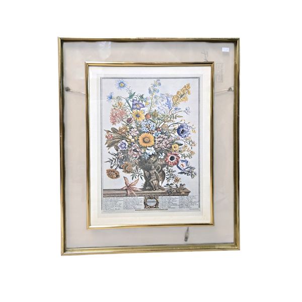 Vintage Print of "November" From the "12 Months of Flowers" Series by Robert Furber Print