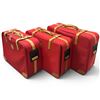Image 1 : 3 Piece Set of Lancel Depuis Luggage with Leather Straps & Handles - (Largest is 10" x 28" x 32")
