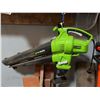 Image 2 : Greenworks Electric Leaf Blower Vacuum